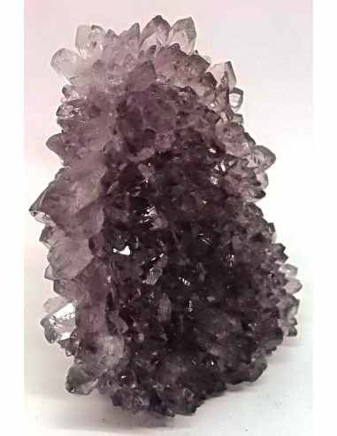 Geode amethyste cactus