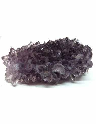 Geode amethyste cactus