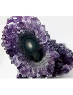 Geode amethyste cactus