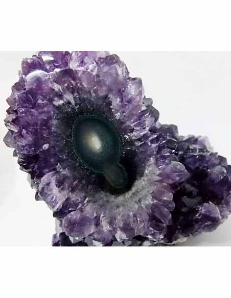 Geode amethyste cactus