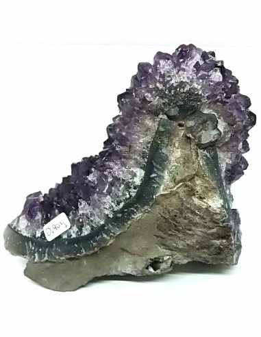 Geode amethyste cactus