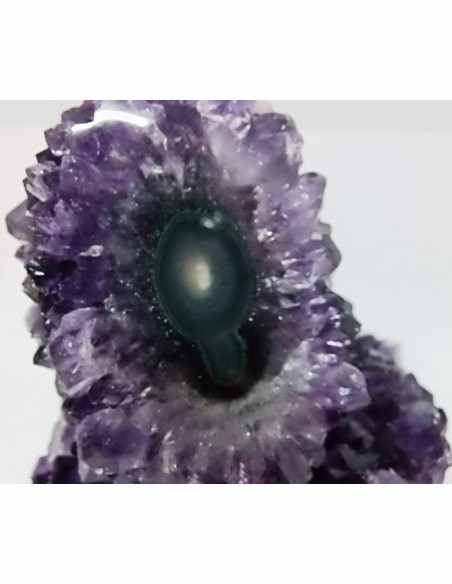 Geode amethyste cactus
