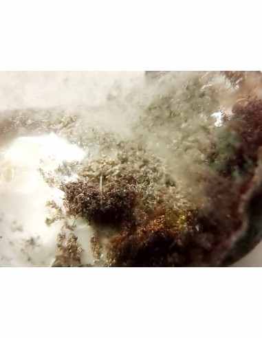 Quartz inclusions lodolite