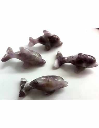 Dolphin amethyste chevron