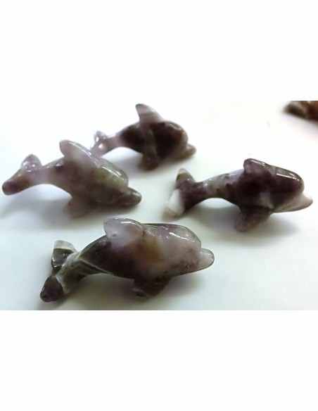 Dolphin amethyste chevron Dolphin amethyste chevron