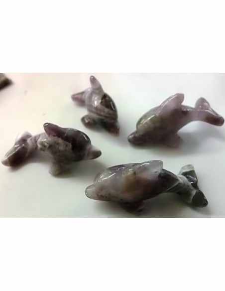 Dolphin amethyste chevron Dolphin amethyste chevron