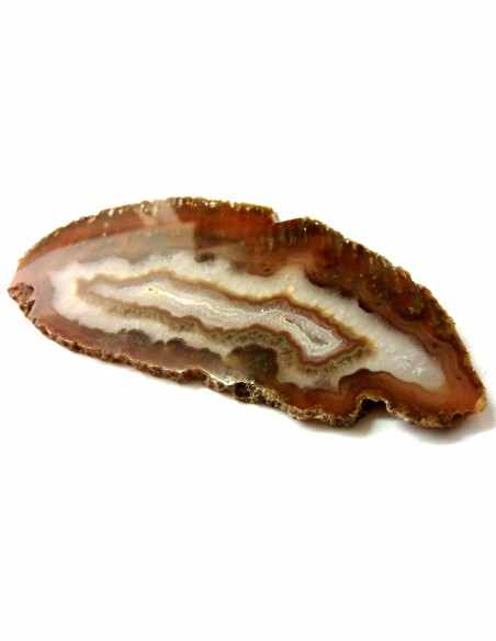 Agate Tranche17cm Agate Tranche17cm