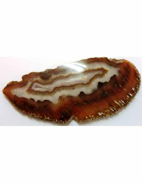 Agate Tranche17cm Agate Tranche17cm