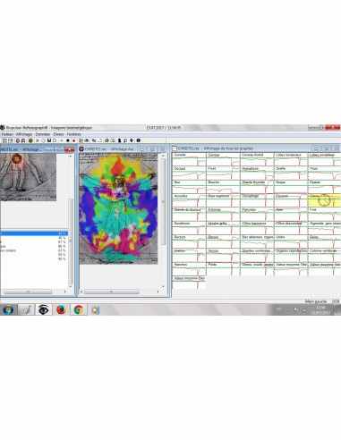 Analyse bioénergétique