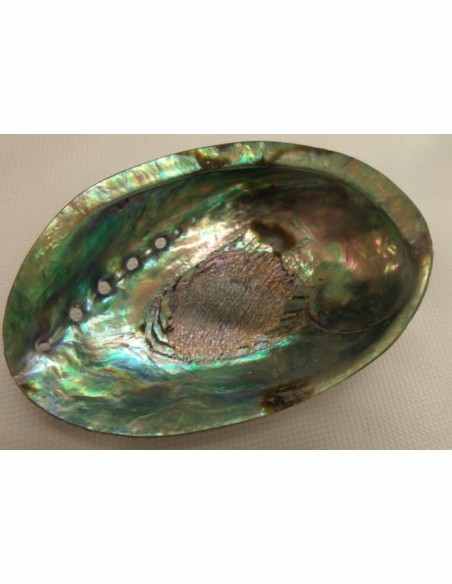 Coquillage opalisé pour recharger et purifier pierres