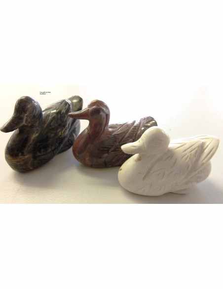 Canard en bois fossilise Canard en bois fossilise