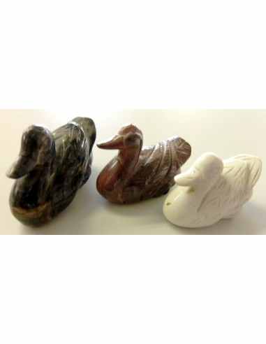 Canard en bois fossilise