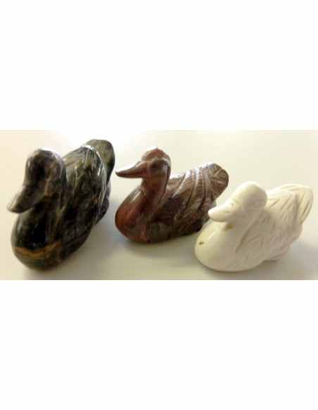 Canard en bois fossilise Canard en bois fossilise