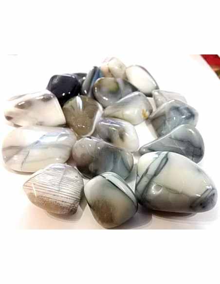 Opale Oregon polis Opale Oregon polis