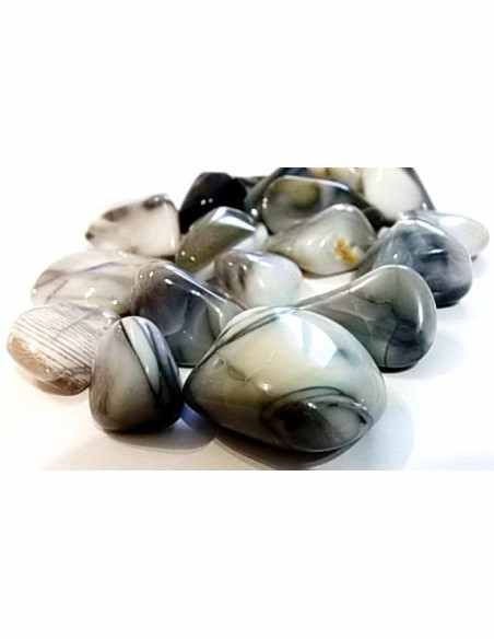 Opale Oregon polis Opale Oregon polis