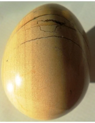 Jaspe jaune en oeuf 5cm