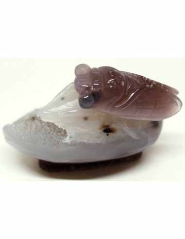 Cigale en agate