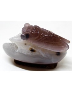 Cigale en agate