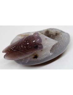 Cigale en agate 2