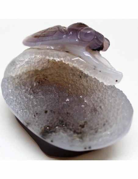 Cigale en agate
