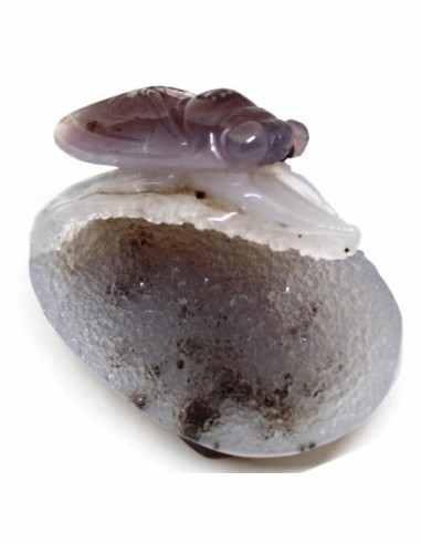Cigale en agate