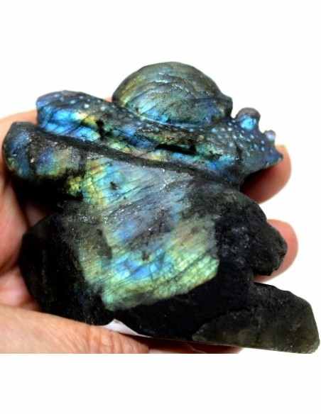 Scargot en labradorite