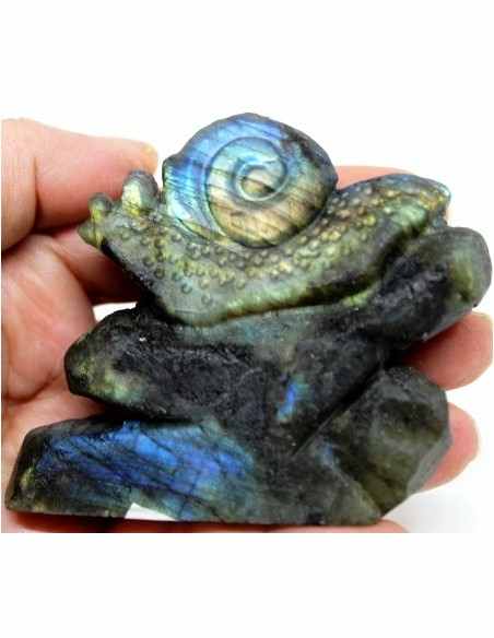 Scargot en labradorite