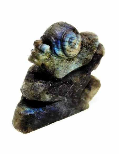 Scargot en labradorite