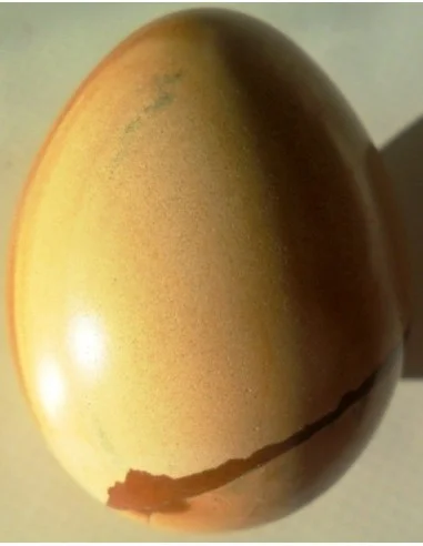 Jaspe jaune en oeuf 5cm