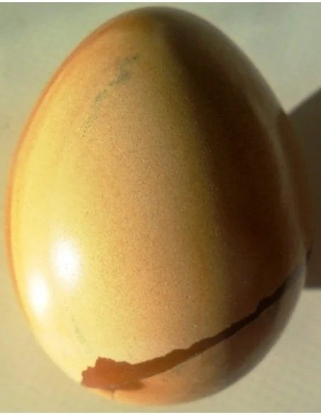 Jaspe jaune en oeuf 5cm
