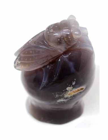 Cigale agate sur amethyste rose