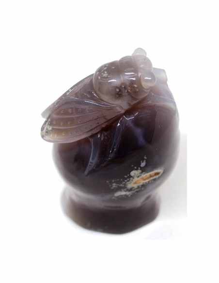 Cigale agate sur amethyste rose Cigale agate sur amethyste rose