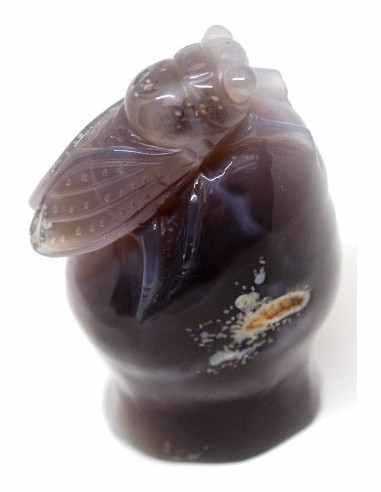 Cigale agate sur amethyste rose