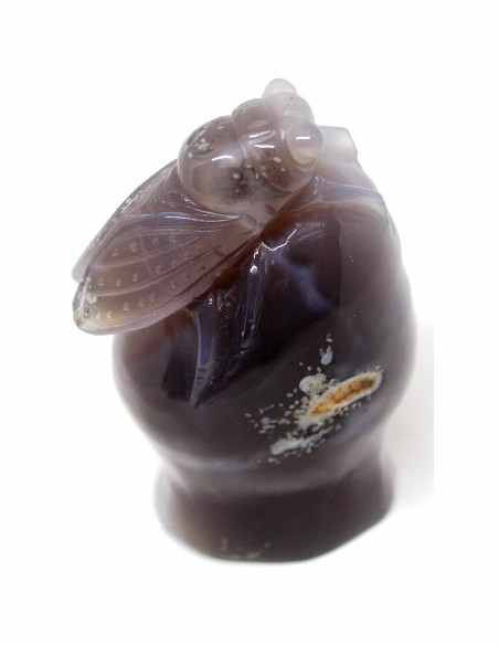 Cigale agate sur amethyste rose Cigale agate sur amethyste rose