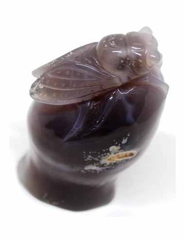 Cigale agate sur amethyste rose