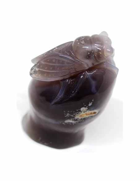 Cigale agate sur amethyste rose Cigale agate sur amethyste rose