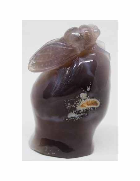 Cigale agate sur amethyste rose Cigale agate sur amethyste rose
