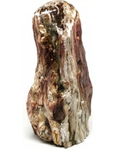 Bois fossilise bases polis 64 a 88g