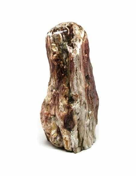 Bois fossilise bases polis 64 a 88g