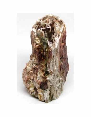 Bois fossilise bases polis 64 a 88g