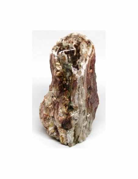 Bois fossilise bases polis 64 a 88g