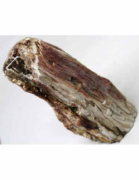 Bois fossilise bases polis 64 a 88g