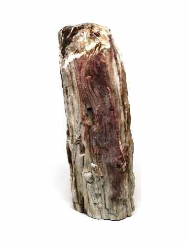 Bois fossilise bases polis 64 a 88g