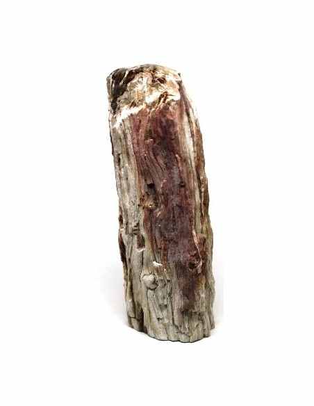 Bois fossilise bases polis 64 a 88g