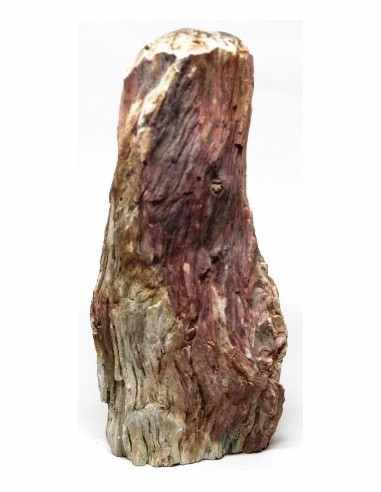 Bois fossilise bases polis 64 a 88g