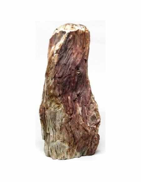 Bois fossilise bases polis 64 a 88g