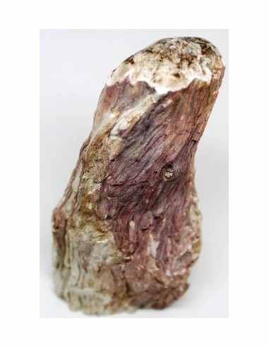 Bois fossilise bases polis 64 a 88g