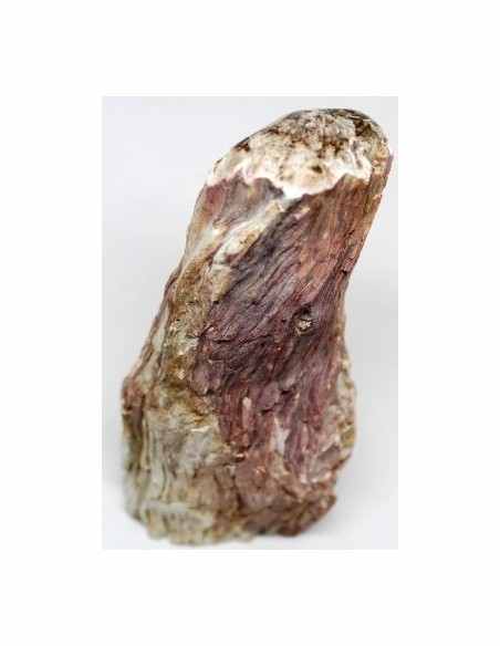 Bois fossilise bases polis 64 a 88g