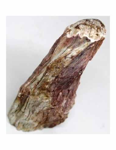 Bois fossilise bases polis 64 a 88g