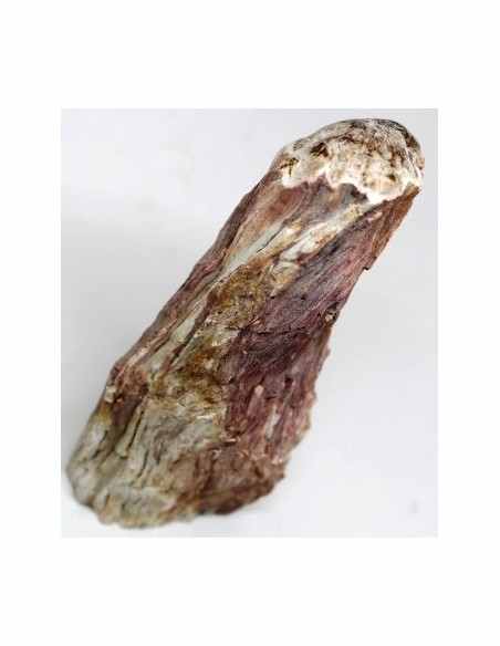 Bois fossilise bases polis 64 a 88g